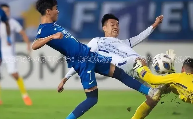 EON4招商华策影视