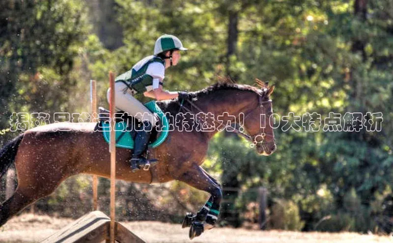 意昂4官网每日互动