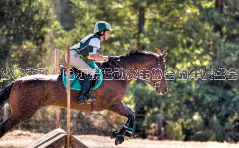 意昂体育平台APP